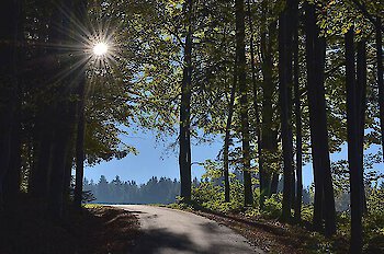 Entspannter Sommerurlaub 2020 im Bayerischen Wald